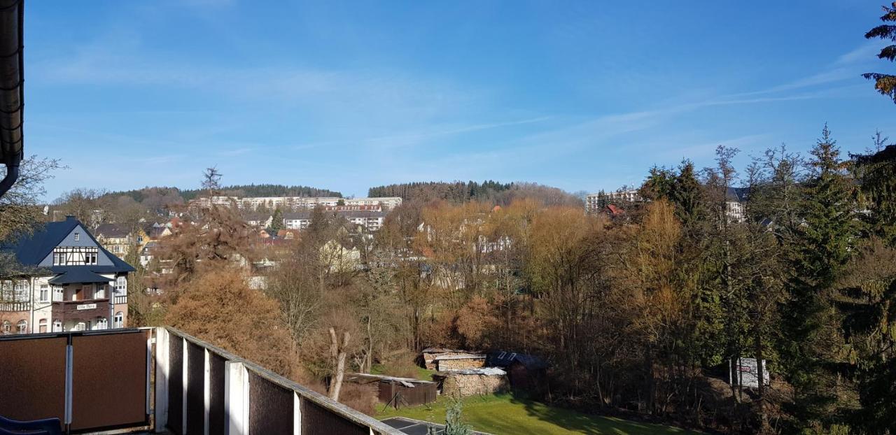 Ferienwohnungen Villa Goldbrunnen Bad Elster Dış mekan fotoğraf