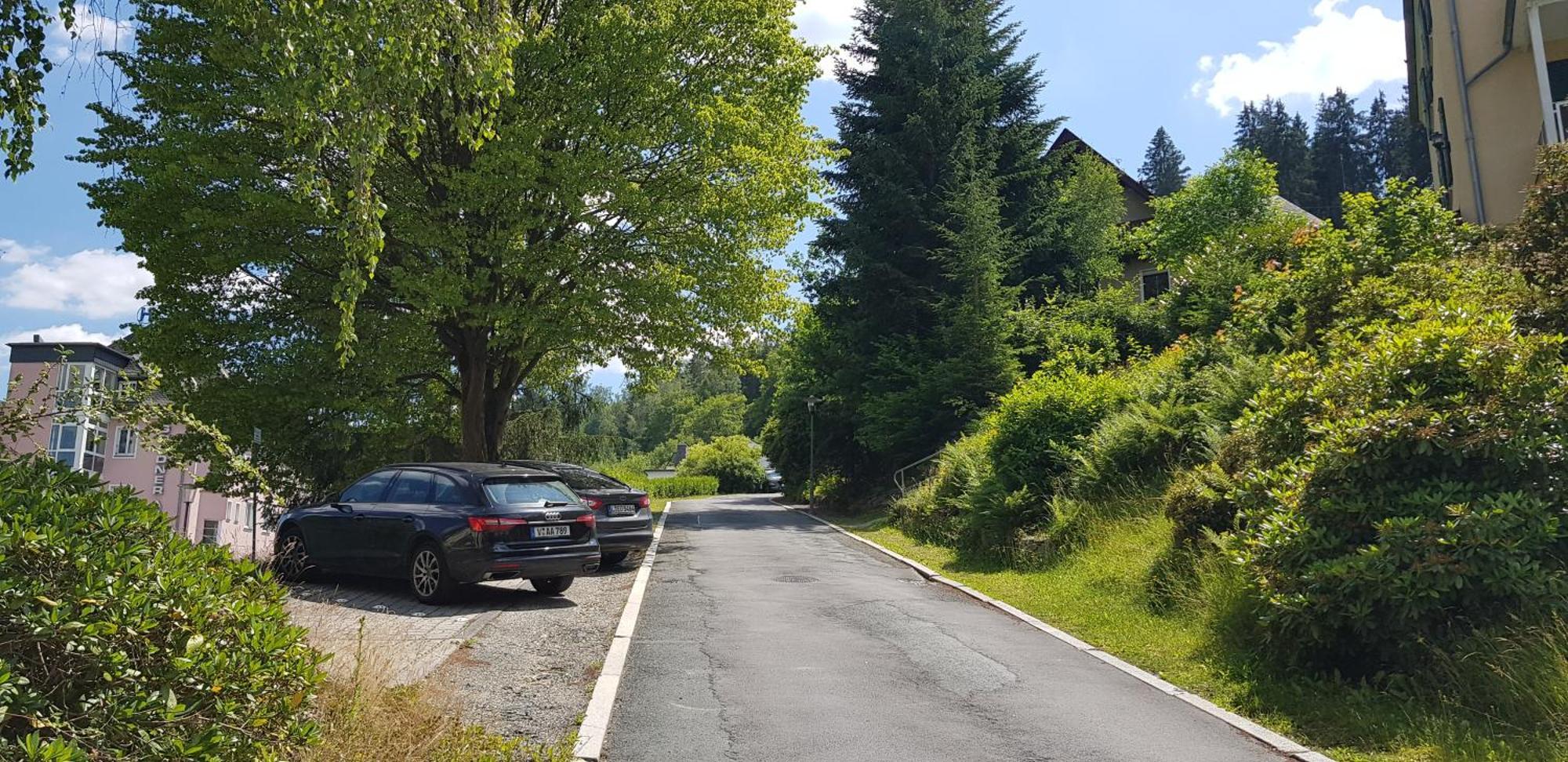 Ferienwohnungen Villa Goldbrunnen Bad Elster Dış mekan fotoğraf