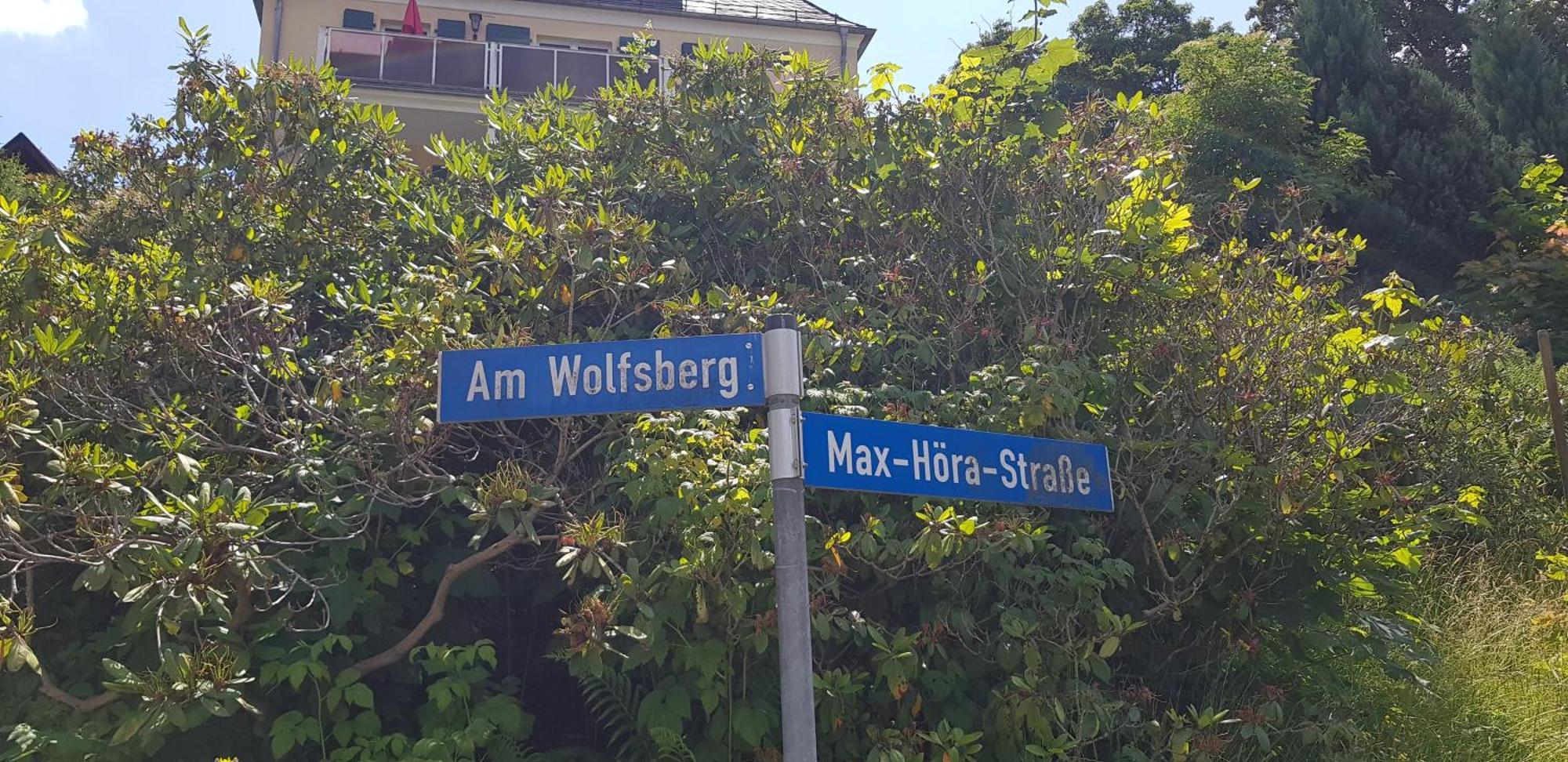 Ferienwohnungen Villa Goldbrunnen Bad Elster Dış mekan fotoğraf